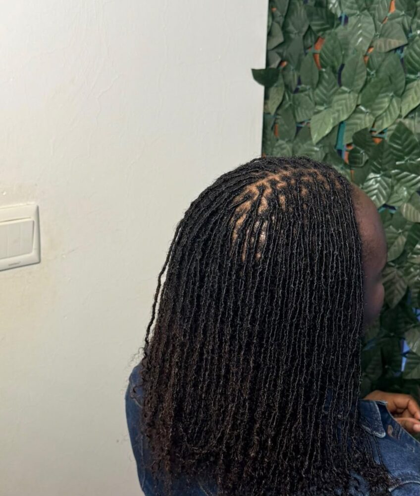 Freshly retwisted dreadlock roots, back view