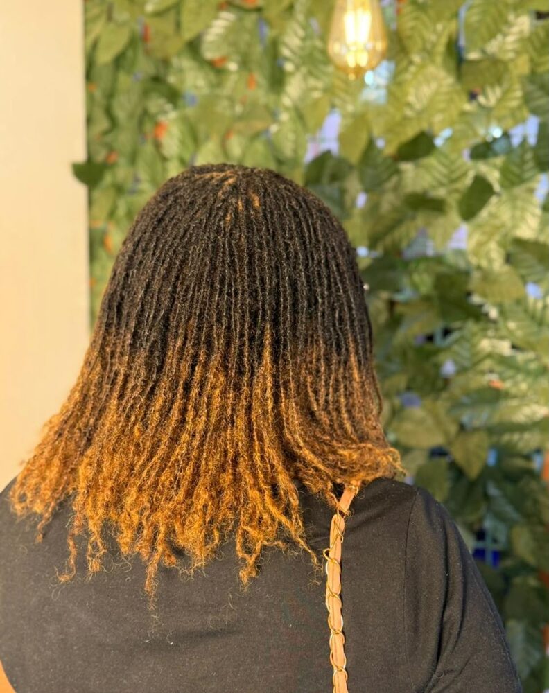 Shoulder length ombre locs, back view